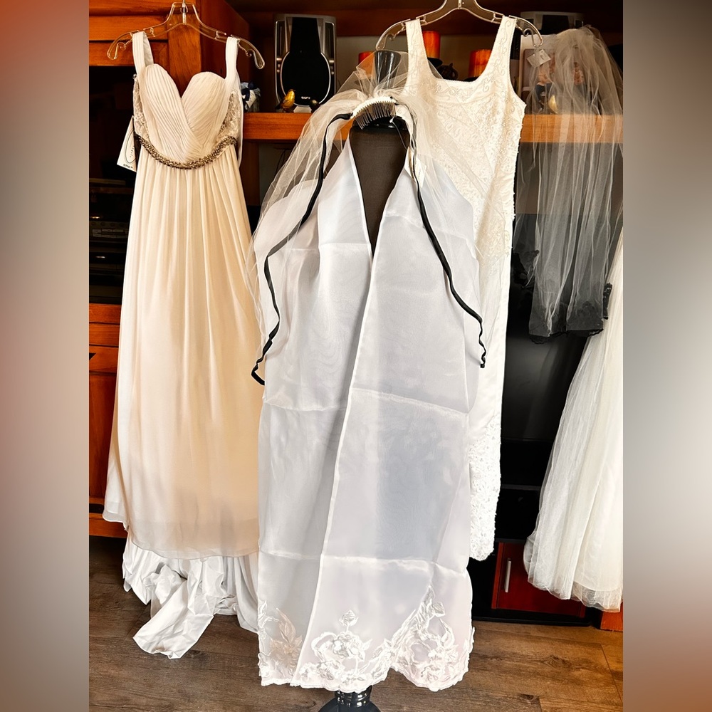 White Sheer Bridal Veil with Black Trim